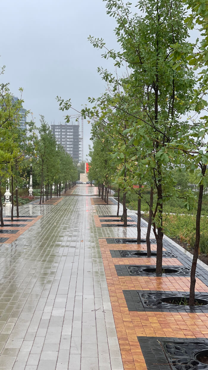 Приствольная решетка для дерева ZKING CRUST 1.2х1.2м Черная в Архангельске фото