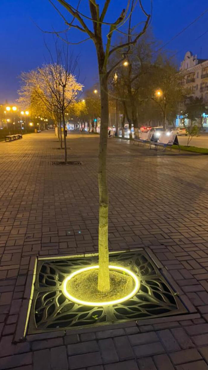 Приствольная решетка для дерева ZKING CRUST 1.2х1.2м Черная в Архангельске фото